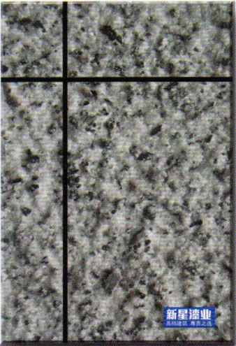 XX-PS010